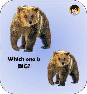 Big Or Small Bear flashcard preschoolify