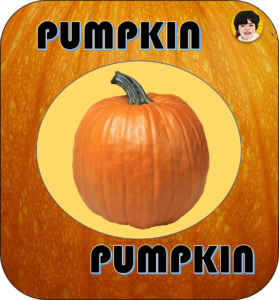 Pumpkin flashcard preschoolify